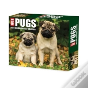 Capa do artigo Pugs 2027 Box