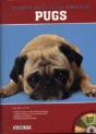 Pugs - Preview