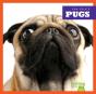 Pugs - Preview