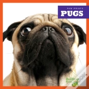 Capa do artigo Pugs