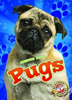 Capa do artigo Pugs