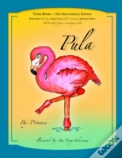 Capa do artigo Pula