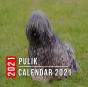 Pulik Calendar 2021 - Preview
