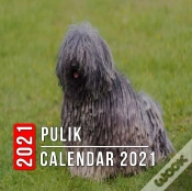 Capa do artigo Pulik Calendar 2021
