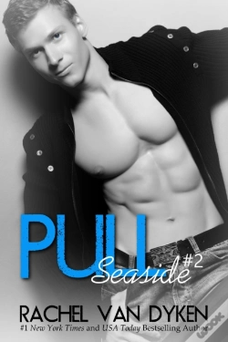 Capa do artigo Pull: A Seaside Novel