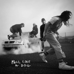 Capa do artigo Pull Like a Dog - Vinil