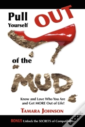 Capa do artigo Pull Yourself Out Of The Mud