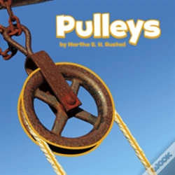 Capa do artigo Pulleys