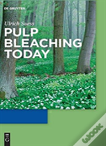 Pulp Bleaching Today