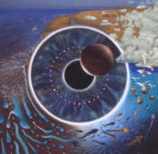 Capa do artigo P.U.L.S.E.: Live - CD