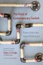 Pulse Of Contemporary Turkish - Preview