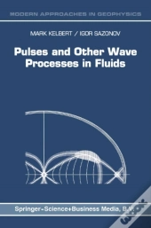 Pulses And Other Wave Processes In Fluids
