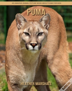 Capa do artigo Puma