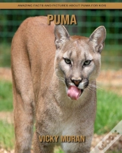 Capa do artigo Puma
