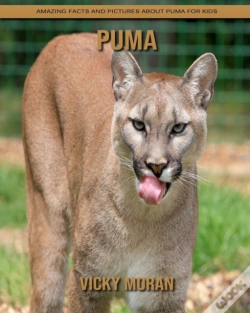 Capa do artigo Puma