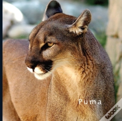 Capa do artigo Puma