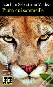 Puma Qui Sommeille : Une Enquête Impériale De L'Inca Tupac Hualpa