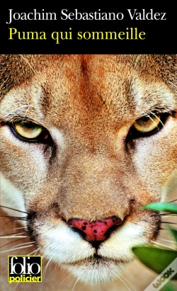 Capa do artigo Puma Qui Sommeille : Une Enquête Impériale De L'Inca Tupac Hualpa