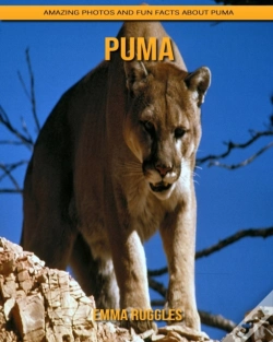 Capa do artigo Puma