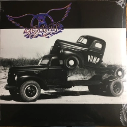 Capa do artigo Pump - Vinil