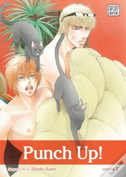 Capa do artigo Punch Up!, Vol. 3