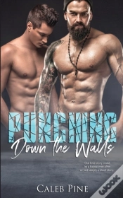 Capa do artigo Punching Down The Walls