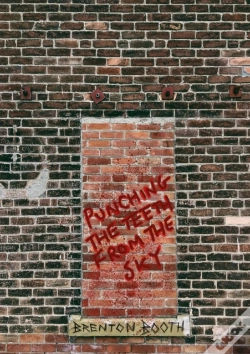 Capa do artigo Punching The Teeth From The Sky