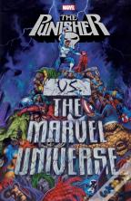 Punisher Vs. The Marvel Universe