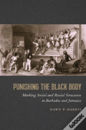 Capa do artigo Punishing The Black Body