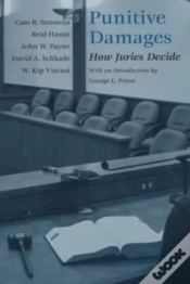 Capa do artigo Punitive Damages