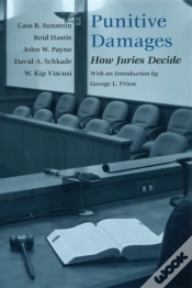 Capa do artigo Punitive Damages