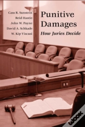 Capa do artigo Punitive Damages