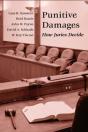 Punitive Damages - Preview