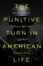 Punitive Turn In American Life - Preview