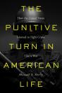 Punitive Turn In American Life - Preview