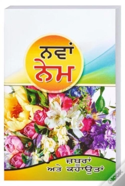 Capa do artigo Punjabi Nt