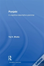 Capa do artigo Punjabi