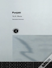 Capa do artigo Punjabi