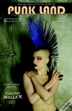 Capa do artigo Punk Land