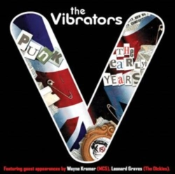 Capa do artigo Punk - Vinil