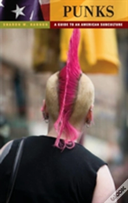 Capa do artigo Punks