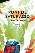 Punt De Saturacio