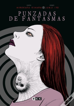 Capa do artigo Punzadas De Fantasmas (Ed. Flexibook) (2a Edicion)