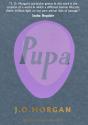 Pupa - Preview