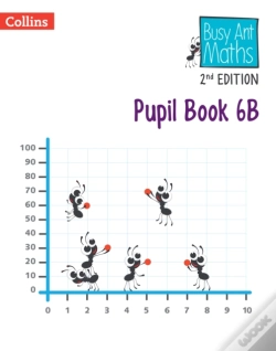 Capa do artigo Pupil Book 6b
