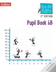 Pupil Book 6b