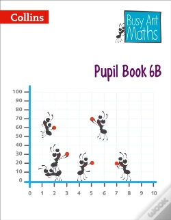 Capa do artigo Pupil Book 6b