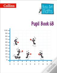 Pupil Book 6b