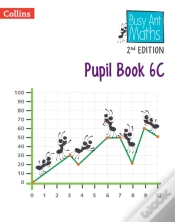 Capa do artigo Pupil Book 6c