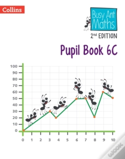 Capa do artigo Pupil Book 6c
